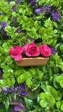 Mini Flower Pot - Ofrenda Decorations for Day of the Dead Altar