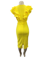 Dalia Stretchable Dress